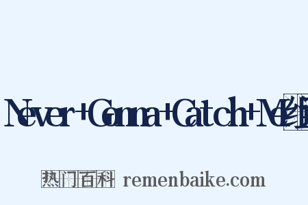 Never+Gonna+Catch+Me组词是什么意思的图片